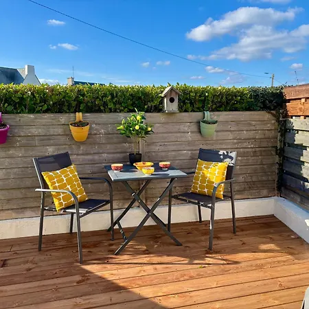 Le Calypso, Avec Terrasse A 50m De La ! *